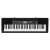 カシオ(CASIO)カシオ電子ボンド成人61キーボード子供初学入門試験合格級専门音楽器仿ピアノキーボードCTK-2500原装標準+琴架礼包
