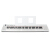 ヤマハ（YAMAHA）教育演奏61鍵盤/76鍵盤ピアノ強度キーボード電子キーボNP-12/NP-32キーボードNP 32白+琴架+琴包全セット部品