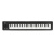 KORG microKEY Air MIDI電子キーボンド25 37 49キー编曲电気ピアノ2世代ワイヤルレットトン49キー