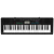 カシオ（CASIO）電子キーボンド供入門61ボタ携帯帯大人初心者電子知能ピアノCTK-3388専门试験クラス教育玩具CTK 3388単機+標準ギフトバクグ