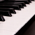 米乐斯(Miles)美乐斯电子キッド61キーボード标准液晶デュラント9919多机能ステムUSBディック再生电子ピアノセ