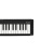 KORG MICROKEY 2 25/37/61キーボードMIDIキーボード2世代音楽キーボードMICROKEY 2-37キーボード（2世代新型）
