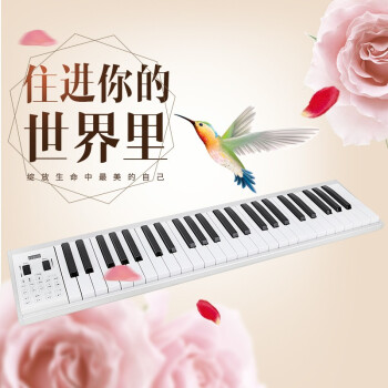 エレクトリックス（ELLE）携帯帯電子ピアノ88キーボードストレット88キーボードストリップエックトリーボックス成人専門版モバイルチアノ49キーボード携帯帯ピノノ