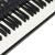 人気のある赤ちゃんQIAO WA BAO BEI子供電子キッドボンド初心者61キーボード入門ピアノ男性女性の子音楽玩具3-6-8-10歳マイク付王子ブラック