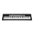 カシオ（CASIO）電子キッドボンドCTK-3500進級子供入門大人初心者専門61キー級携帯帯知能教育音楽器【4号】CTK 1500単機+X琴架+豪華ギフトバグ